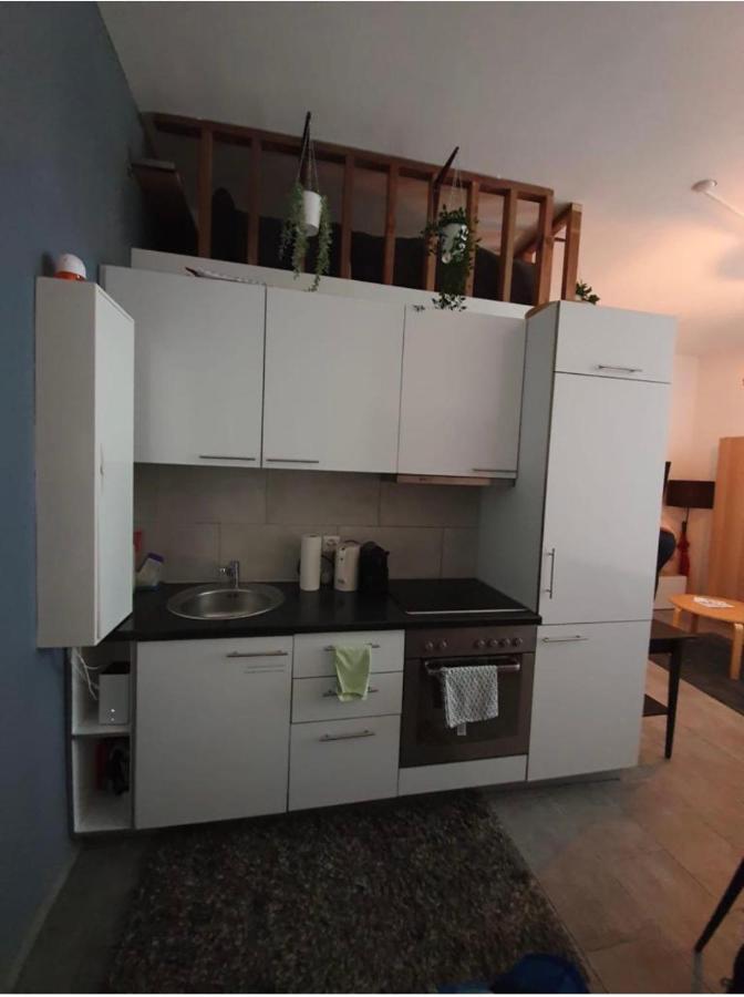 Modern Studio With Mezzanine Le Mont-Sur-Lausanne Exterior foto